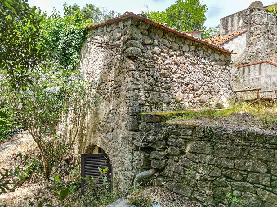 Immagine 5 di Rustico / casale in vendita  in Via dell'Accolta a Campo Nell'elba
