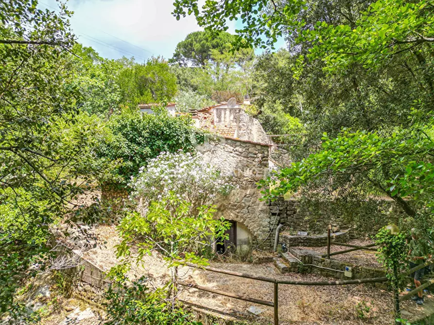 Immagine 10 di Rustico / casale in vendita  in Via dell'Accolta a Campo Nell'elba