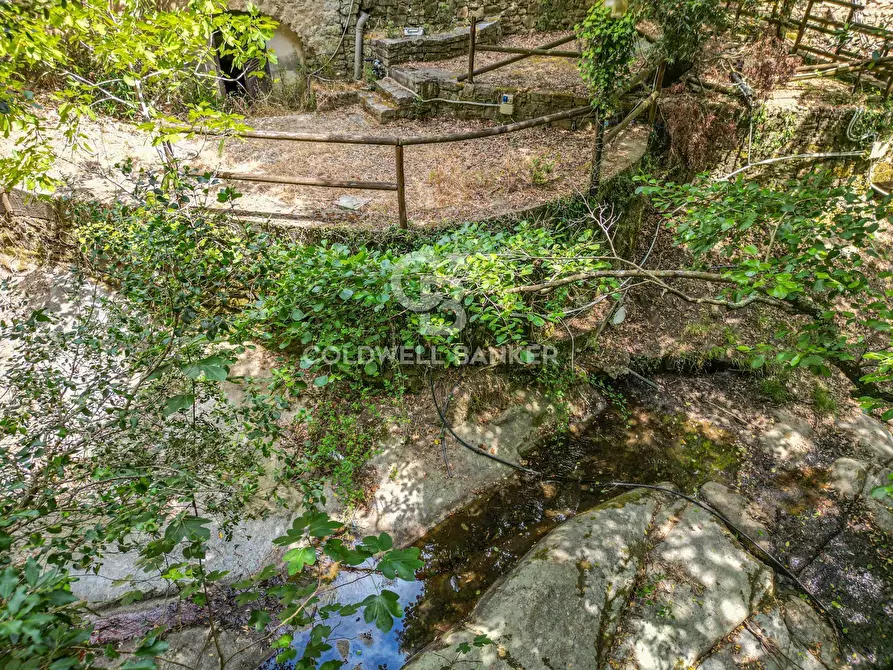 Immagine 12 di Rustico / casale in vendita  in Via dell'Accolta a Campo Nell'elba
