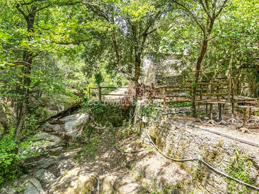 Immagine 13 di Rustico / casale in vendita  in Via dell'Accolta a Campo Nell'elba