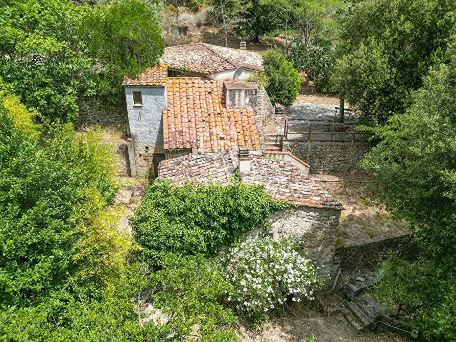Immagine 1 di Rustico / casale in vendita  in Via dell'Accolta a Campo Nell'elba