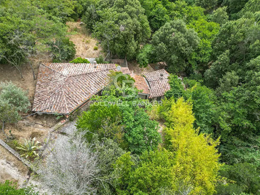 Immagine 15 di Rustico / casale in vendita  in Via dell'Accolta a Campo Nell'elba