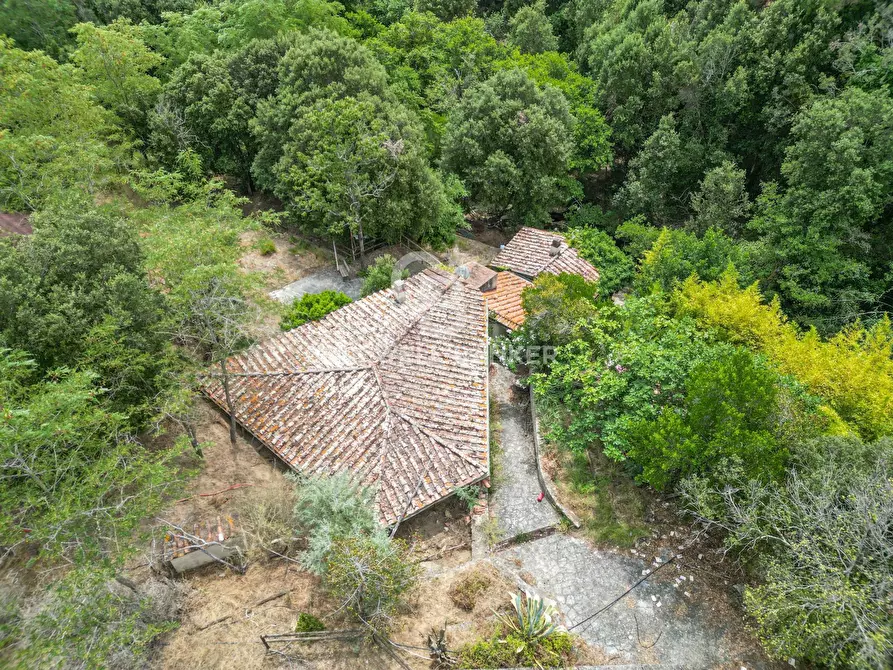 Immagine 2 di Rustico / casale in vendita  in Via dell'Accolta a Campo Nell'elba