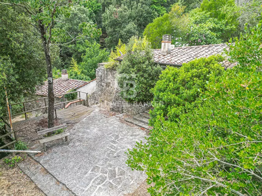 Immagine 16 di Rustico / casale in vendita  in Via dell'Accolta a Campo Nell'elba