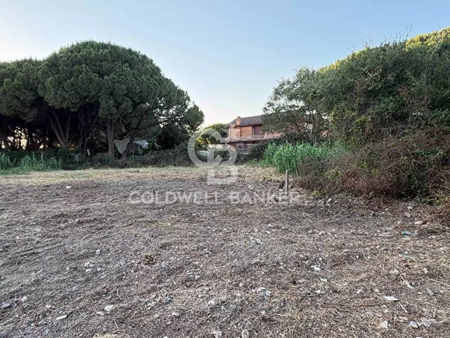 Immagine 3 di Terreno agricolo in vendita  in Località San Giorgio a Tarquinia