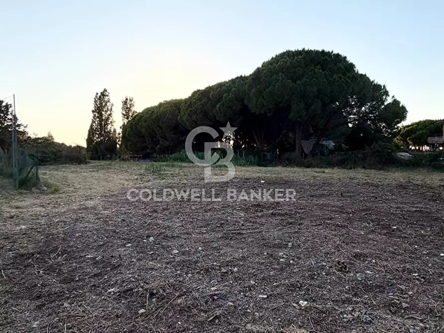 Immagine 1 di Terreno agricolo in vendita  in Località San Giorgio a Tarquinia