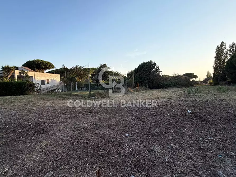 Immagine 2 di Terreno agricolo in vendita  in Località San Giorgio a Tarquinia