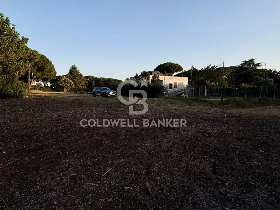 Immagine 7 di Terreno agricolo in vendita  in Località San Giorgio a Tarquinia