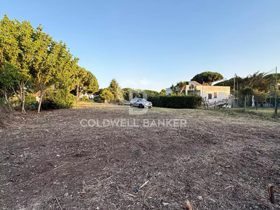 Immagine 9 di Terreno agricolo in vendita  in Località San Giorgio a Tarquinia