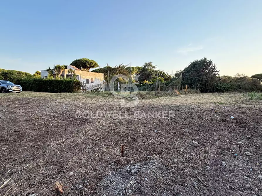 Immagine 10 di Terreno agricolo in vendita  in Località San Giorgio a Tarquinia