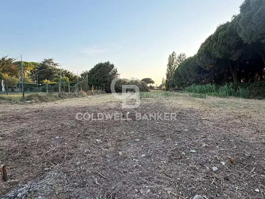 Immagine 11 di Terreno agricolo in vendita  in Località San Giorgio a Tarquinia