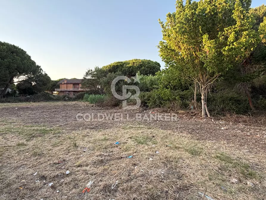 Immagine 13 di Terreno agricolo in vendita  in Località San Giorgio a Tarquinia