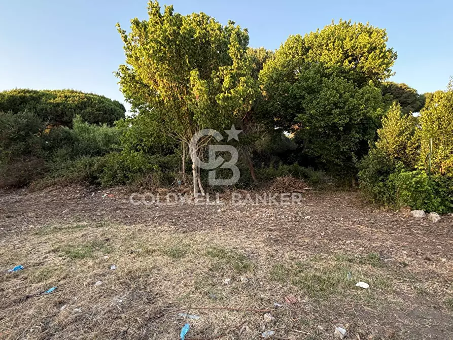 Immagine 14 di Terreno agricolo in vendita  in Località San Giorgio a Tarquinia