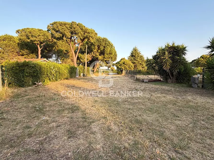 Immagine 12 di Terreno agricolo in vendita  in Località San Giorgio a Tarquinia