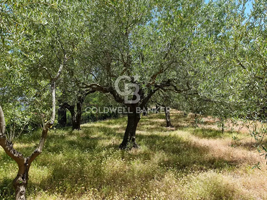 Immagine 9 di Villa in vendita  in Contrada Sciaramanica a Linguaglossa