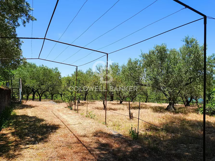 Immagine 14 di Villa in vendita  in Contrada Sciaramanica a Linguaglossa