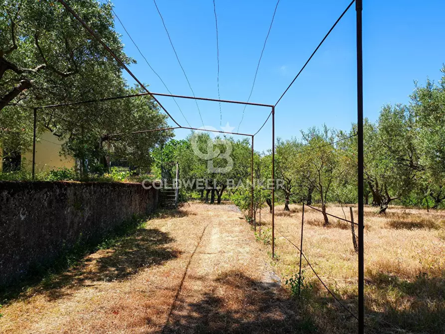 Immagine 34 di Villa in vendita  in Contrada Sciaramanica a Linguaglossa