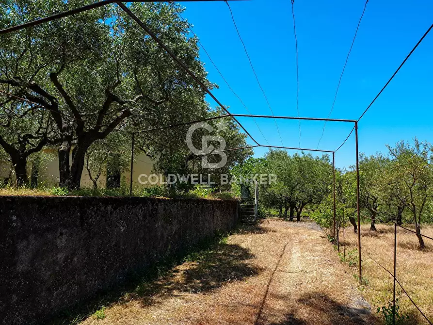 Immagine 35 di Villa in vendita  in Contrada Sciaramanica a Linguaglossa