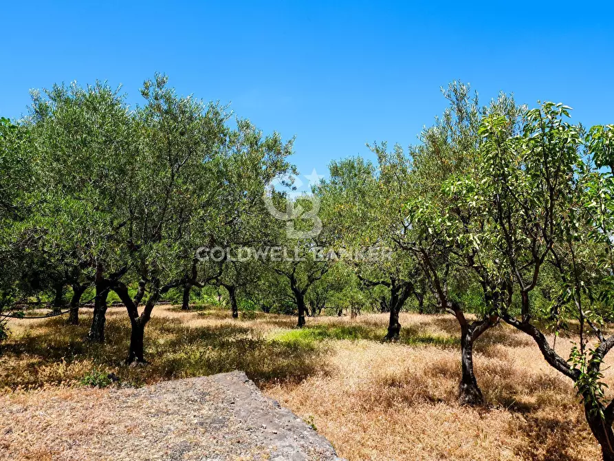 Immagine 8 di Villa in vendita  in Contrada Sciaramanica a Linguaglossa