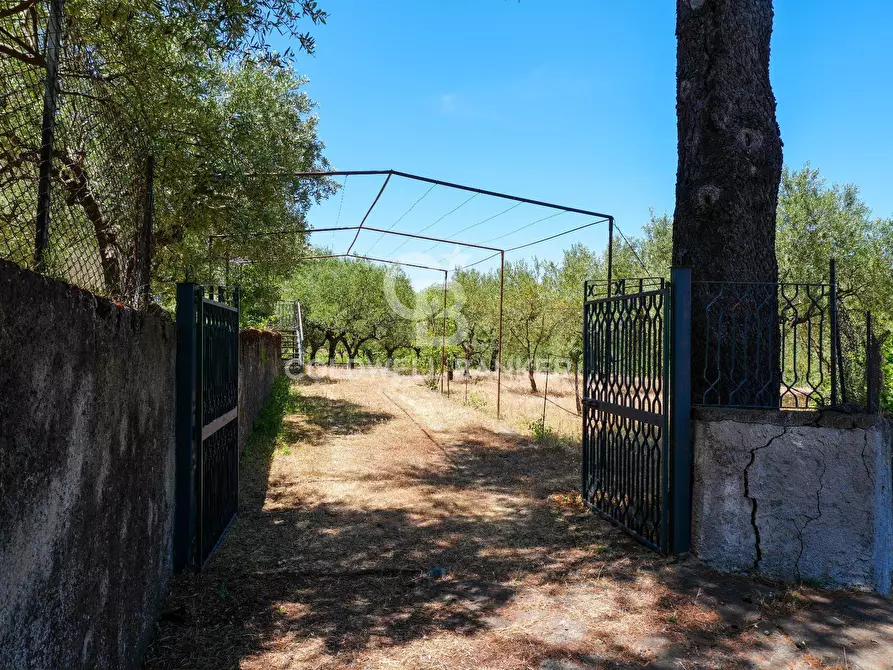 Immagine 36 di Villa in vendita  in Contrada Sciaramanica a Linguaglossa
