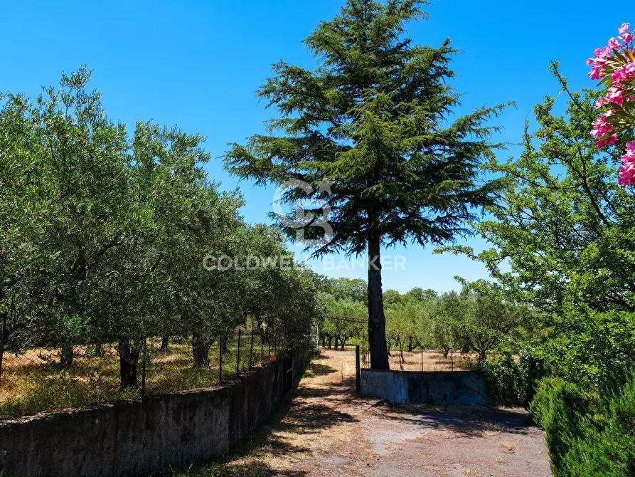 Immagine 7 di Villa in vendita  in Contrada Sciaramanica a Linguaglossa