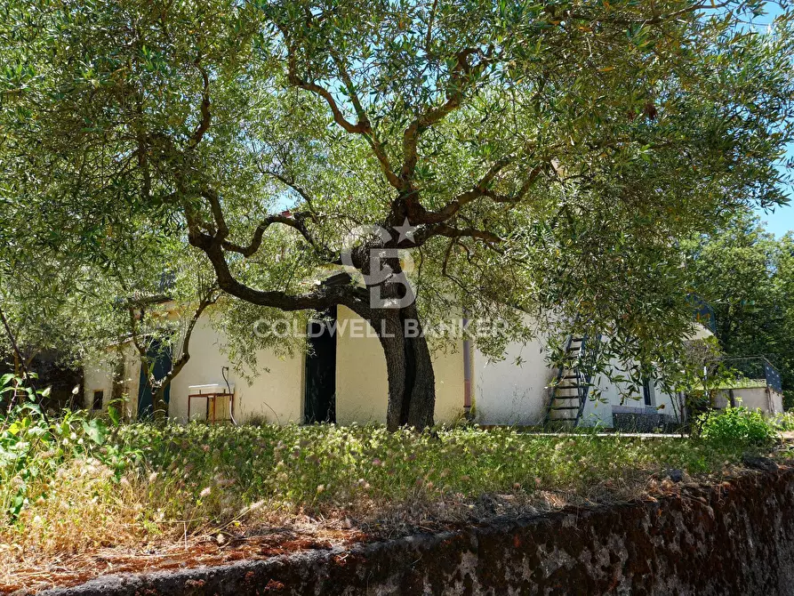 Immagine 6 di Villa in vendita  in Contrada Sciaramanica a Linguaglossa