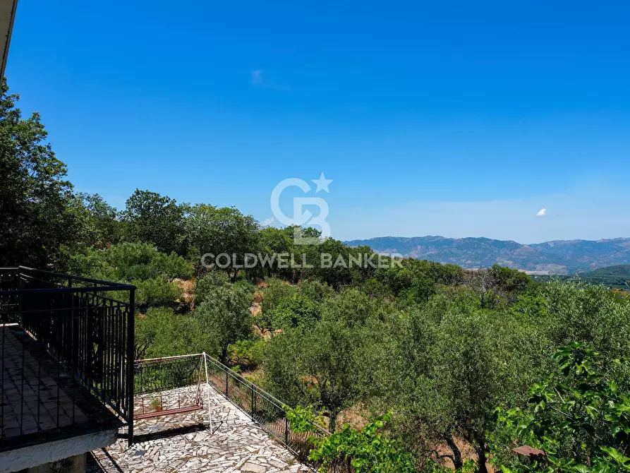 Immagine 37 di Villa in vendita  in Contrada Sciaramanica a Linguaglossa