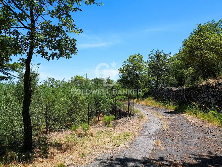 Immagine 38 di Villa in vendita  in Contrada Sciaramanica a Linguaglossa