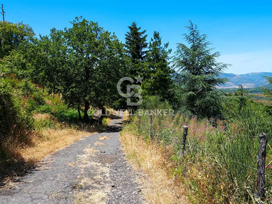 Immagine 39 di Villa in vendita  in Contrada Sciaramanica a Linguaglossa