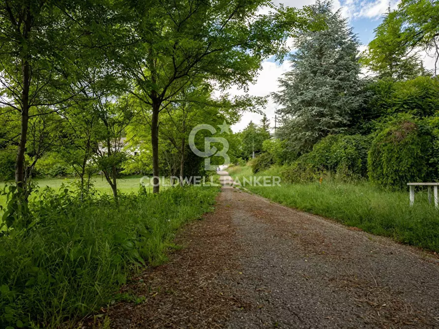 Immagine 37 di Rustico / casale in vendita  in Cugnan 100 a Ponte Nelle Alpi