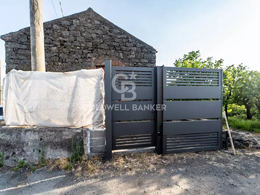 Immagine 3 di Terreno agricolo in vendita  in Via Ragogna 9 a Acireale