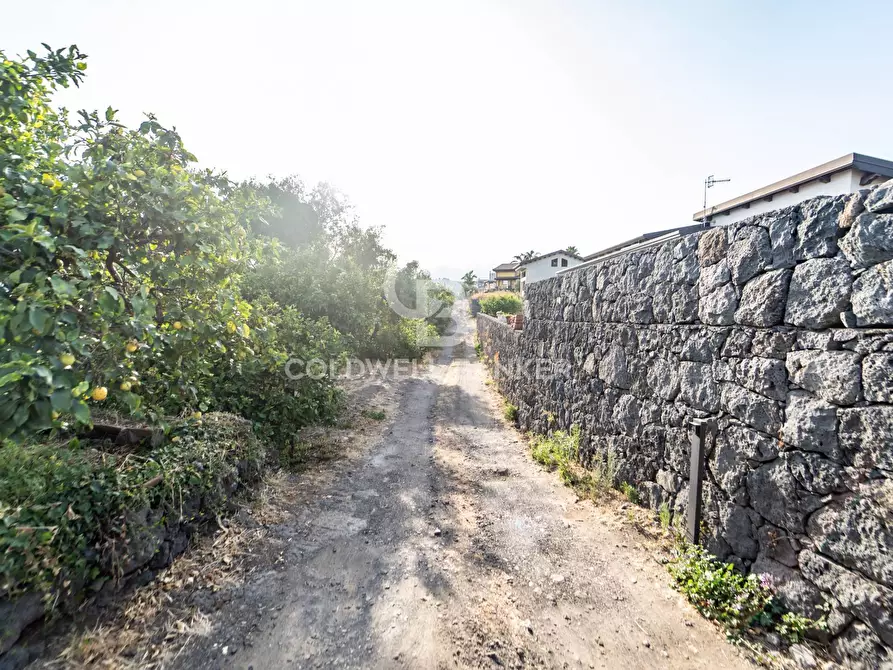 Immagine 6 di Terreno agricolo in vendita  in Via Ragogna 9 a Acireale
