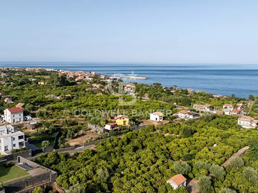 Immagine 7 di Terreno agricolo in vendita  in Via Ragogna 9 a Acireale