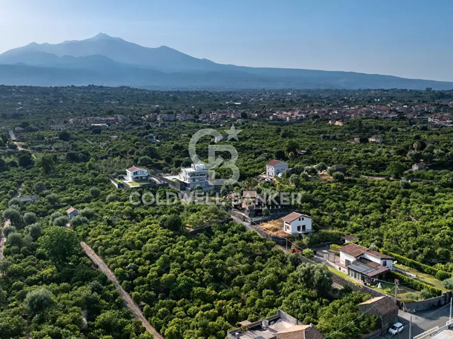 Immagine 2 di Terreno agricolo in vendita  in Via Ragogna 9 a Acireale