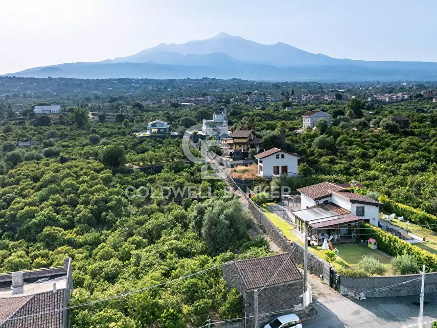 Immagine 9 di Terreno agricolo in vendita  in Via Ragogna 9 a Acireale