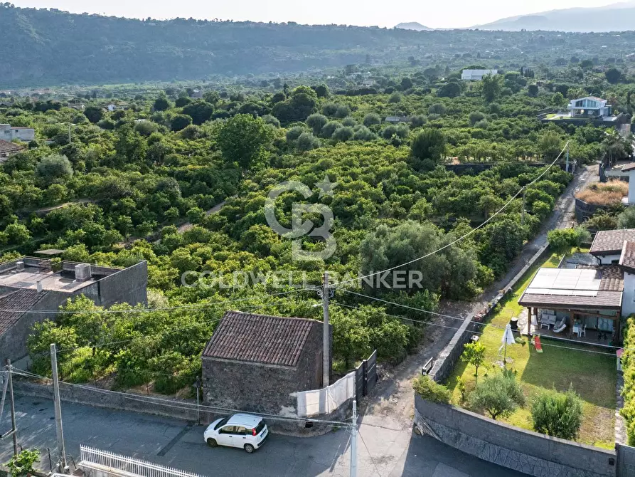Immagine 10 di Terreno agricolo in vendita  in Via Ragogna 9 a Acireale