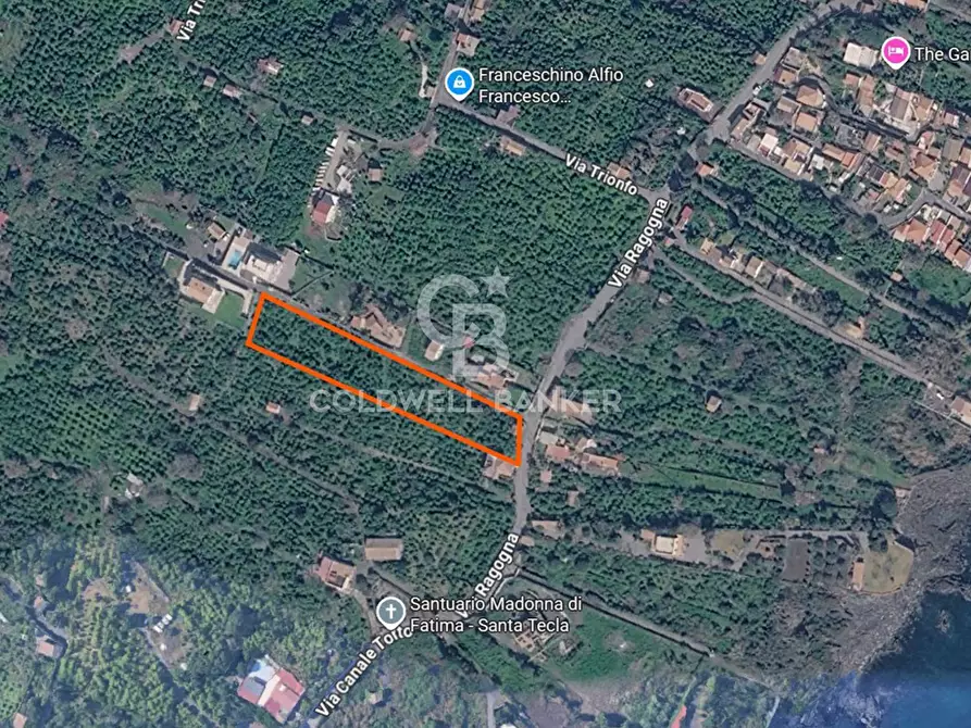 Immagine 12 di Terreno agricolo in vendita  in Via Ragogna 9 a Acireale