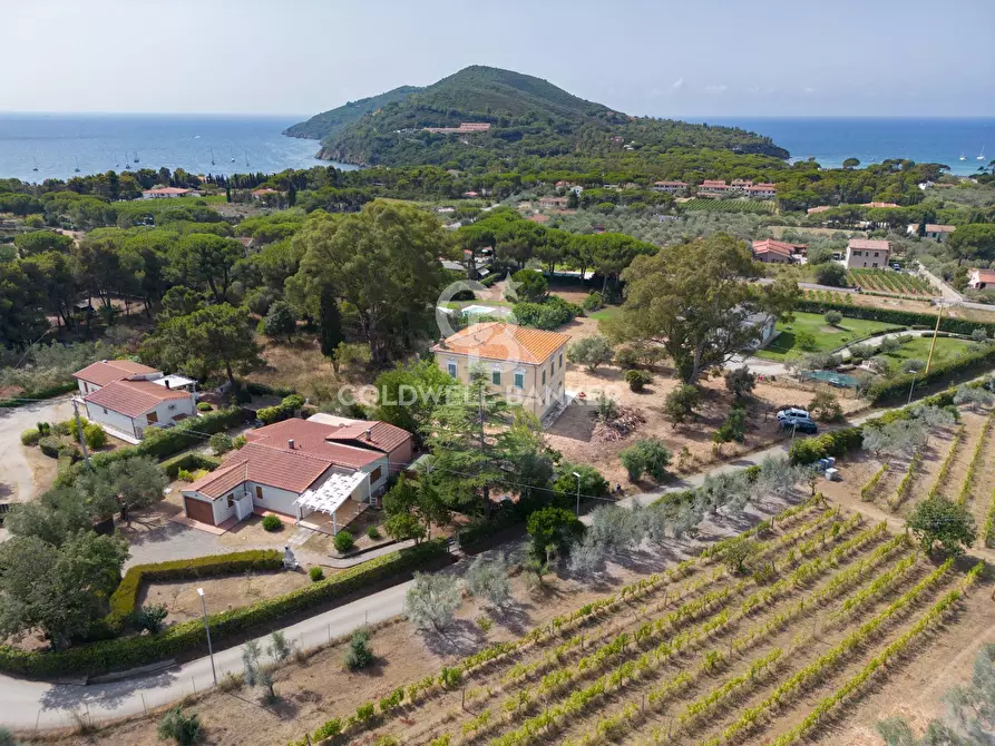Immagine 7 di Rustico / casale in vendita  in Via de Pian di Lari a Capoliveri