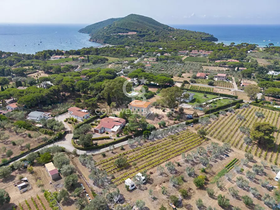 Immagine 8 di Rustico / casale in vendita  in Via de Pian di Lari a Capoliveri