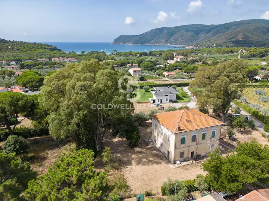 Immagine 9 di Rustico / casale in vendita  in Via de Pian di Lari a Capoliveri