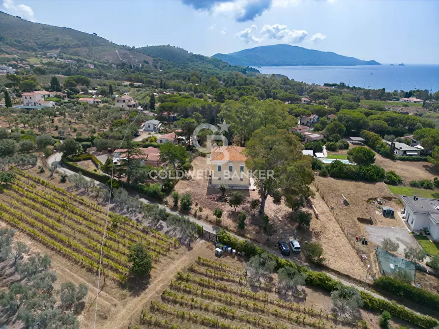 Immagine 10 di Rustico / casale in vendita  in Via de Pian di Lari a Capoliveri