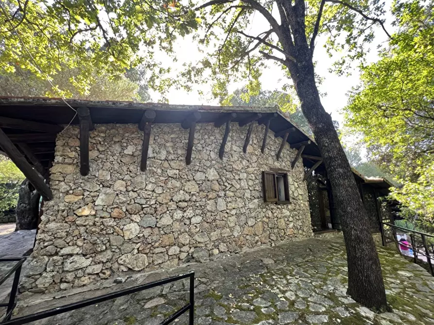 Immagine 3 di Villa in vendita  in Via Barbarola 33 a Rofrano