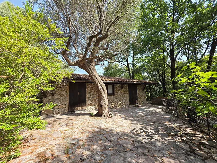 Immagine 6 di Villa in vendita  in Via Barbarola 33 a Rofrano