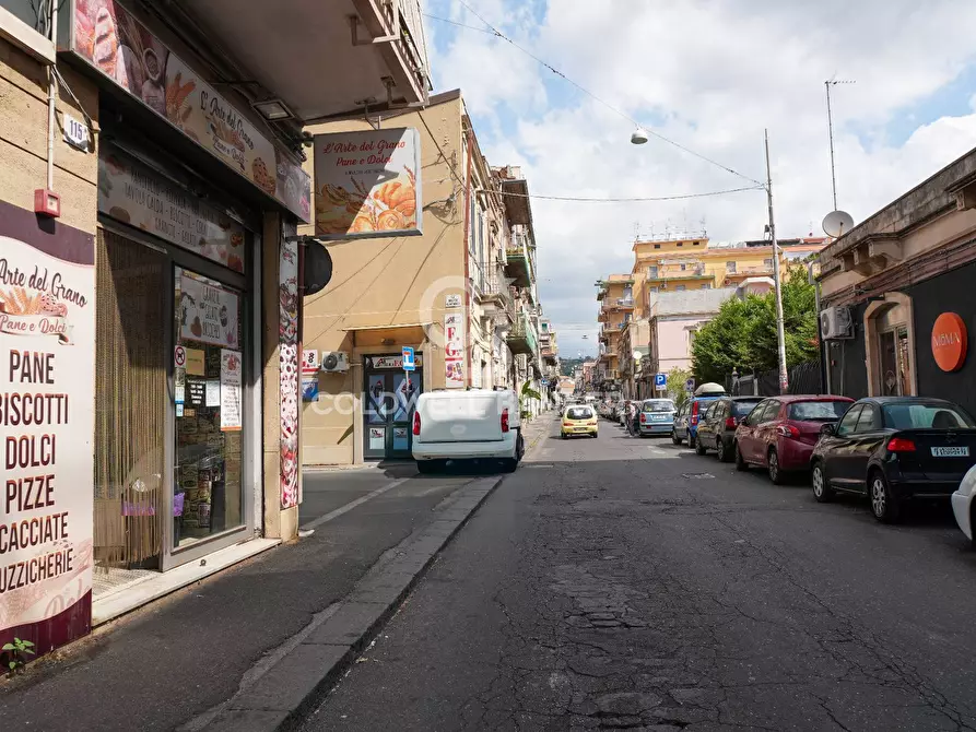 Immagine 35 di Appartamento in vendita  in Via Del Bosco 130 a Catania