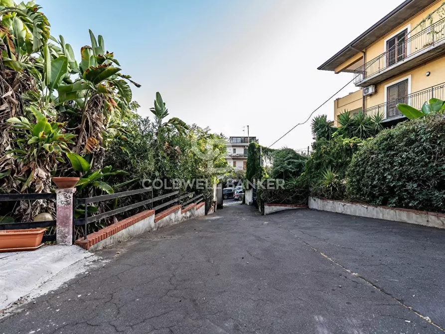Immagine 2 di Villa in vendita  a Gravina Di Catania