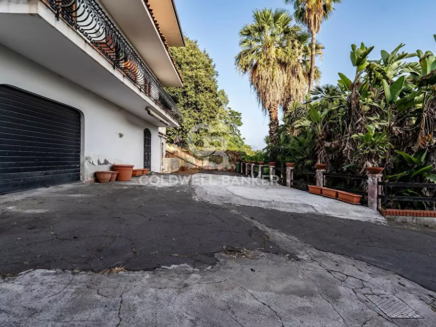 Immagine 4 di Villa in vendita  a Gravina Di Catania