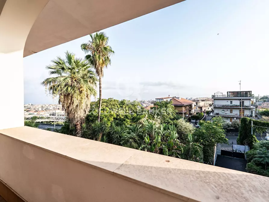 Immagine 44 di Villa in vendita  a Gravina Di Catania