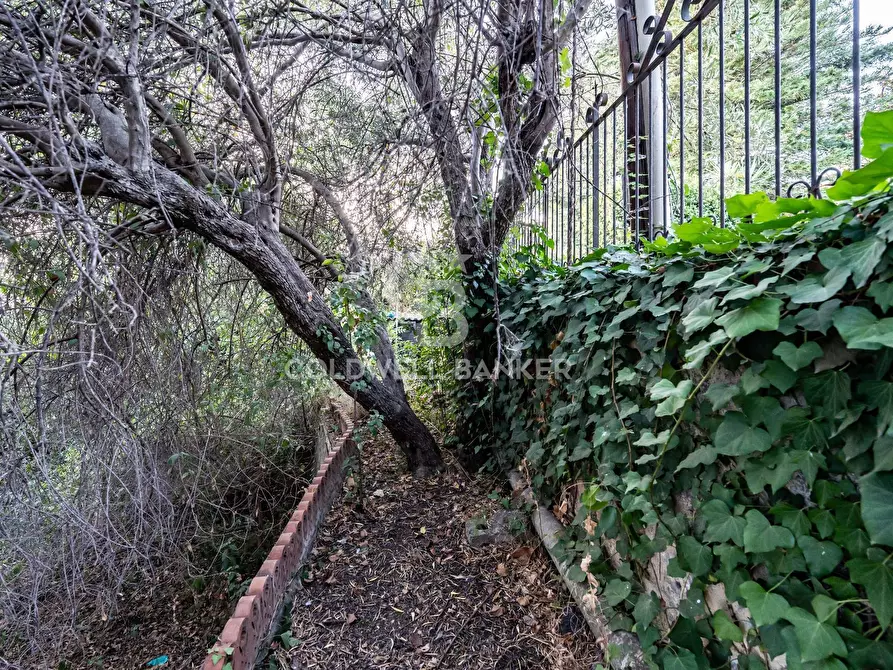 Immagine 69 di Villa in vendita  a Gravina Di Catania