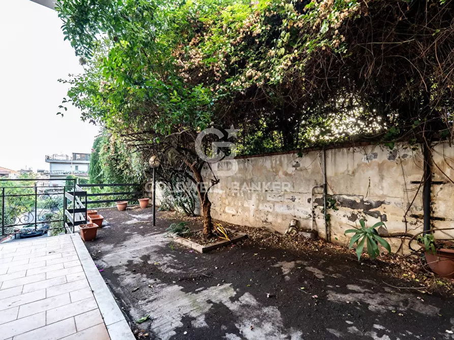 Immagine 74 di Villa in vendita  a Gravina Di Catania
