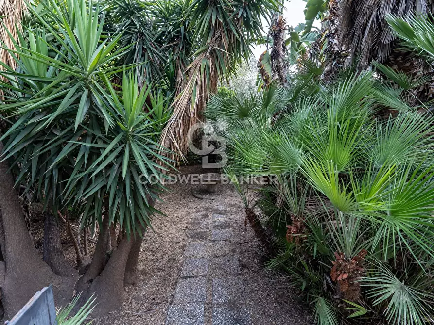 Immagine 80 di Villa in vendita  a Gravina Di Catania